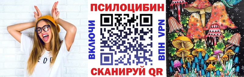 Купить где  Могоча  Галлюциногенные грибы GOLDEN TEACHER 